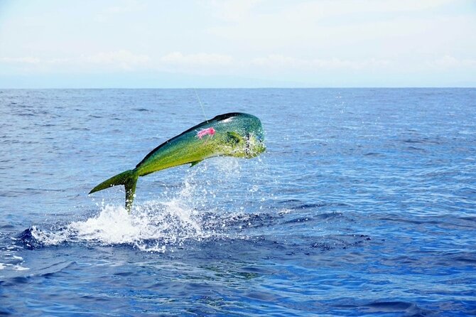 Marathon Florida Keys Fishing Offshore Big Game Experience - Experience Overview