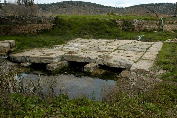 Marathon Lake and Ancient Vravrona Tour - Pricing and Guarantee