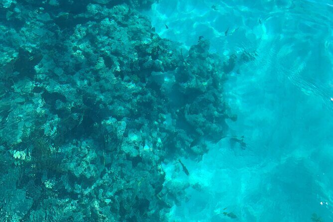 Marathon Sombrero Reef Snorkeling and Sandbar Swim - What to Expect from the Itinerary