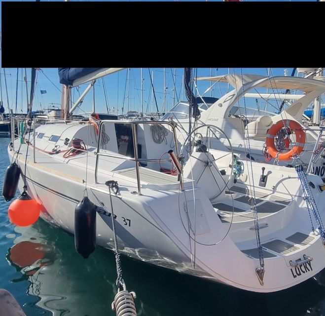 Marbella-Boat Tours and Dolphins Visit - Service Highlights
