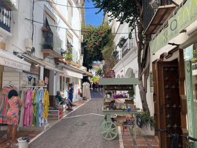 Marbella: City Tour Tapas Tour - Wine Tasting - Olive Oil Tasting - Tour Highlights