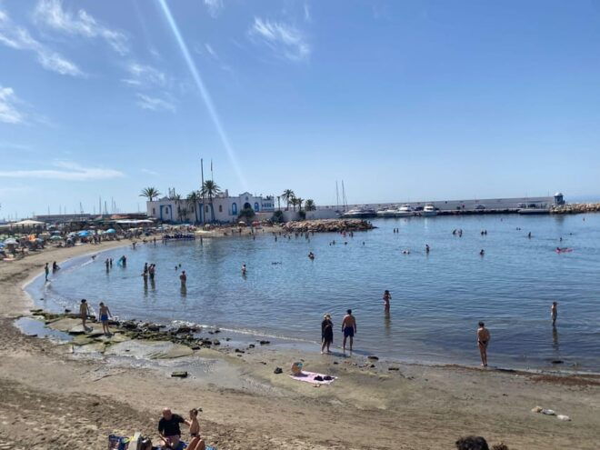 Marbella: City Tour Tapas Tour - Wine Tasting - Olive Oil Tasting - Experience Details