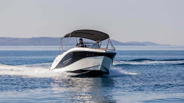 Marbella: Dolphin Watching Boat Tour - Good To Know