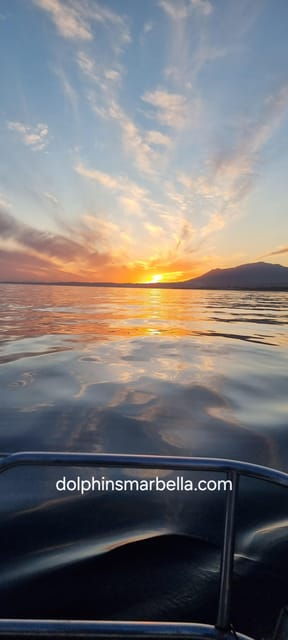 Marbella: Dolphin-Watching Sailboat Trip With Drinks, Snacks - Booking Information