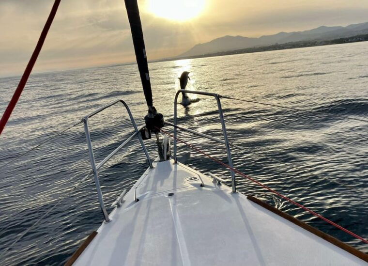 Marbella: Dolphin-Watching Sailboat Trip With Drinks, Snacks - On-Board Activities