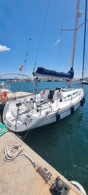 Marbella: Dolphin-Watching Sailboat Trip With Drinks, Snacks - Customer Feedback