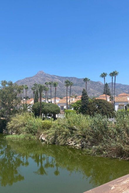 Marbella: Exclusive Bike Tour From Marbella to Puerto Banus - Meeting Point and Availability
