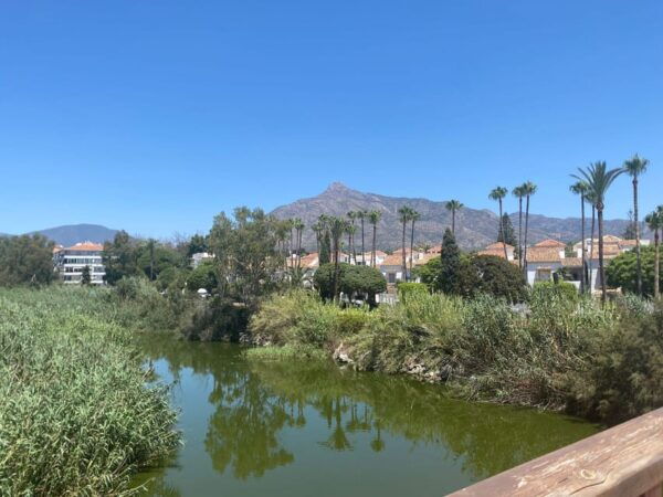Marbella: Exclusive Bike Tour From Marbella to Puerto Banus - Scenic Route and Attractions