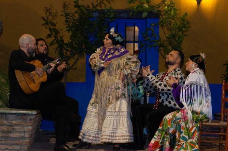 Marbella: Flamenco Show With a Drink - Performance Highlights