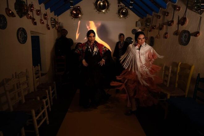Marbella: Flamenco Show With a Drink - Immersive Cultural Experience