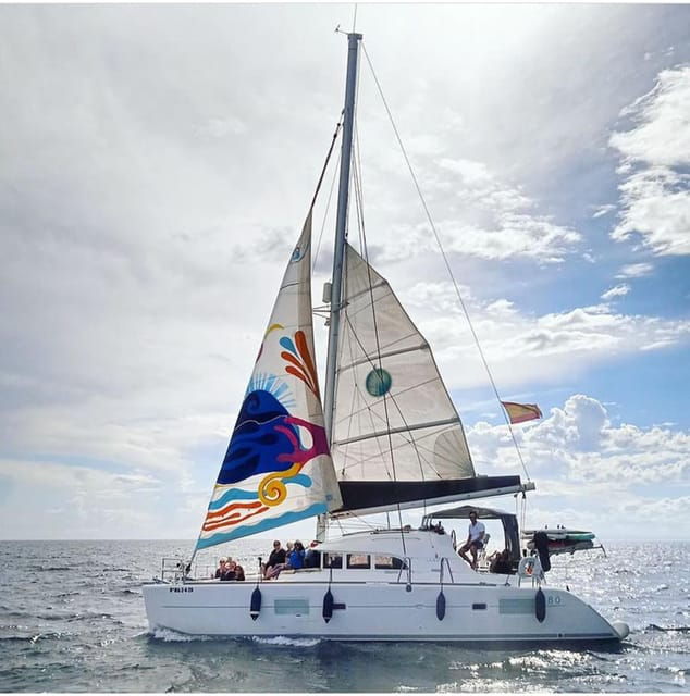 Marbella: Group Dolphin Watching Catamaran Tour With Drinks - Cruise Experience and Onboard Activities