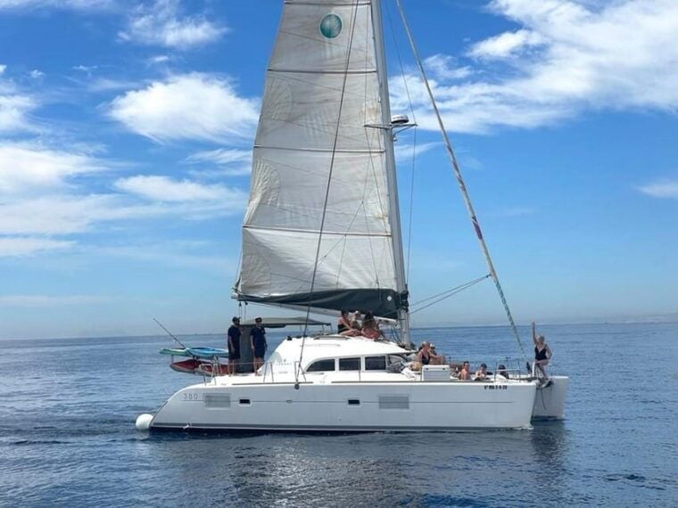 Marbella: Group Dolphin Watching Catamaran Tour With Drinks - Water Sports Opportunities