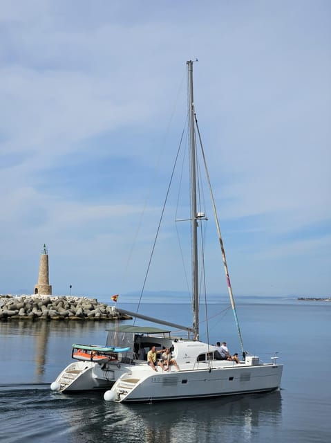 Marbella: Group Dolphin Watching Catamaran Tour With Drinks - Professional Crew and Languages