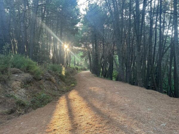 Marbella: La Concha Mountain Tour Including Snack and Drink - Group Size