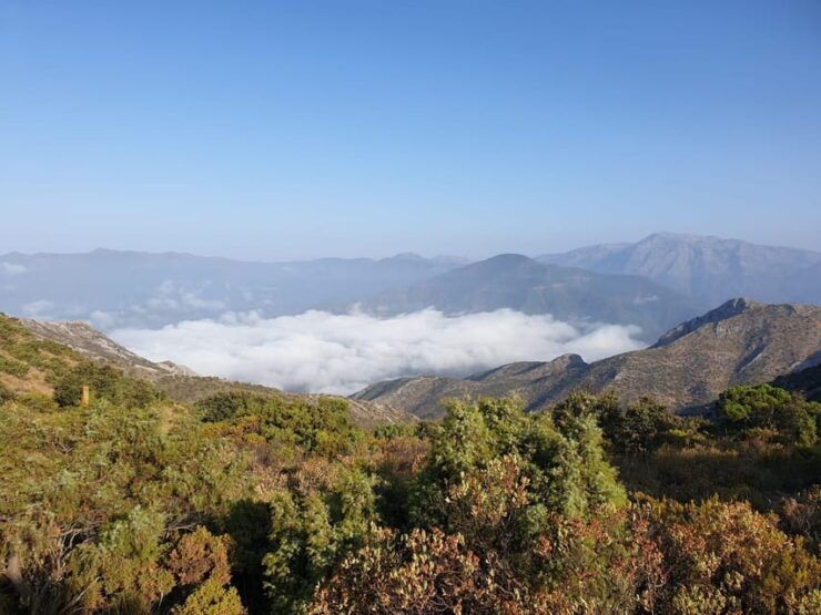 Marbella Mountain Hike - Hiking Experience