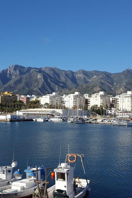 Marbella: Old Town Private Walking Tour - Scenic Promenade Views