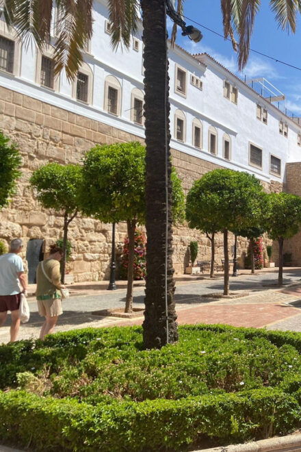 Marbella: Premium Bike Tour With Tapas and Drink - Inclusions