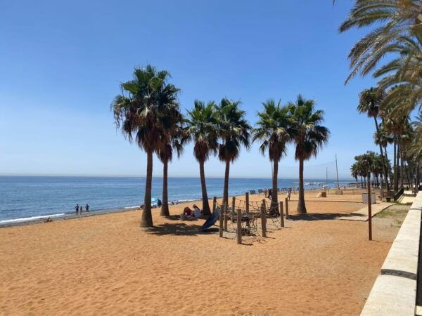 Marbella: Premium E-Bike Tour Marbella - Puerto Banus Incl. Tapas and Drink - Frequently Asked Questions