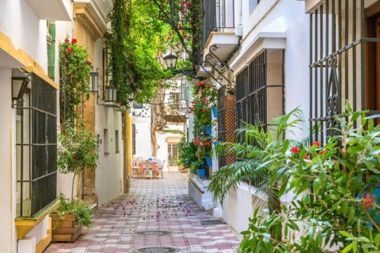 Marbella: Private Custom Tour With a Local Guide - Experience Offered