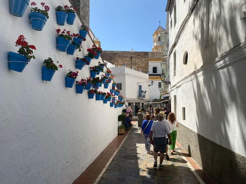 Marbella: Private guided city tour with tapas tasting - Good To Know
