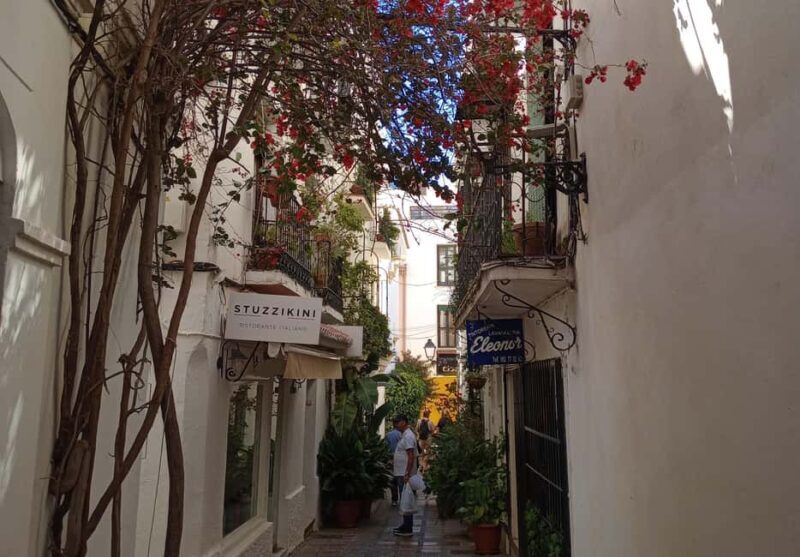 Marbella: Private Tour of the Historic Center - Good To Know  