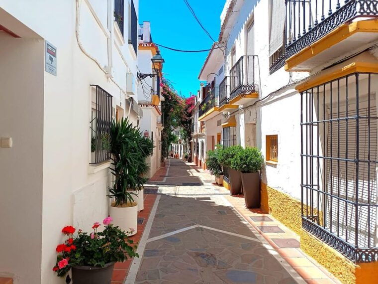 Marbella Private Tour & Puerto Banus to Walk on Your Own - Inclusions and Exclusions