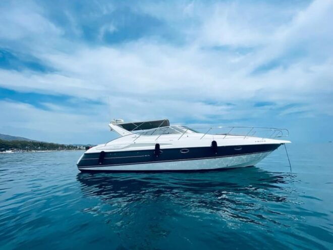 Marbella: Puerto Banús 2-Hour Dolphin Watching Cruise - Meeting Point and Directions