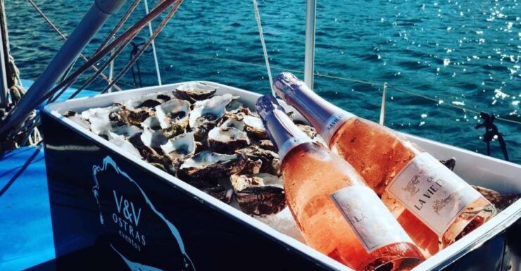Marbella: Puerto Banús Private Sailing Cruise With Drinks - Booking Details and Flexibility