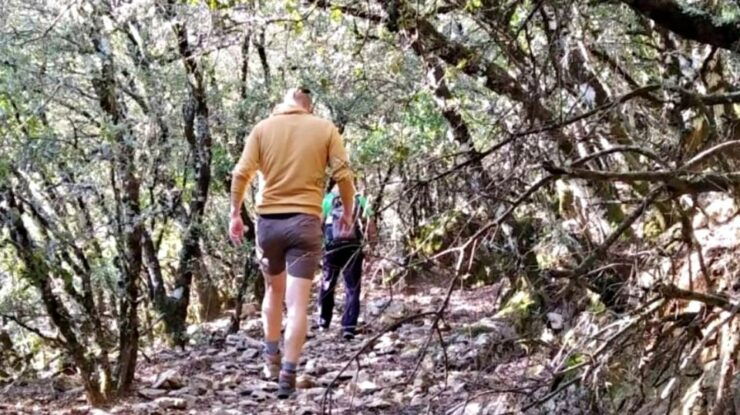 Marbella: Sierra De Las Nieves National Park Hiking Day Trip - Activity Details