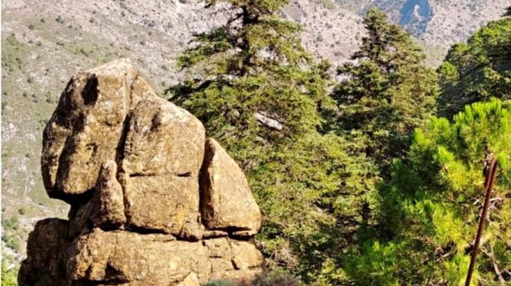 Marbella: Sierra De Las Nieves National Park Hiking Day Trip - Experience Highlights