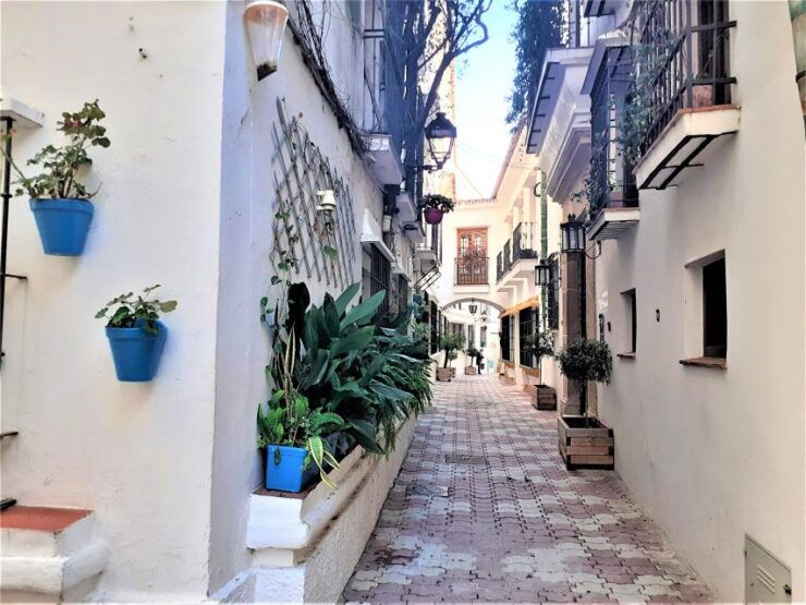Marbella: Sightseeing Walking Tour - Experience Highlights