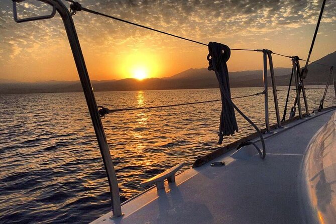 Marbella Small Group Catamaran With Dolphin Watching - Price