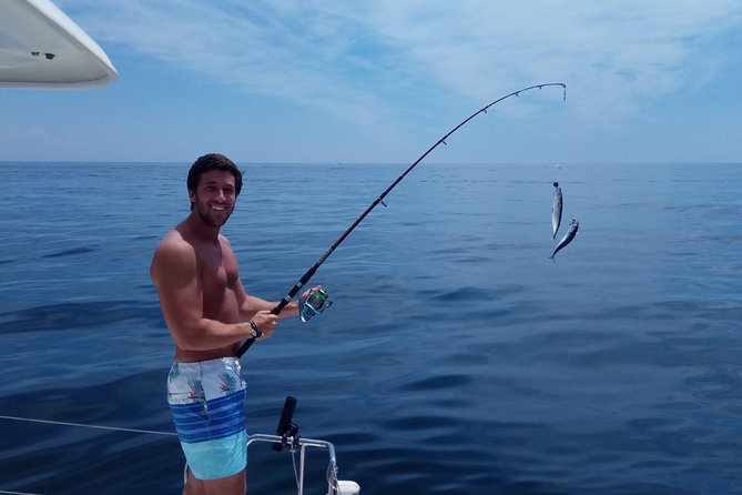 Marbella Small Group Catamaran With Dolphin Watching - Pricing and Terms