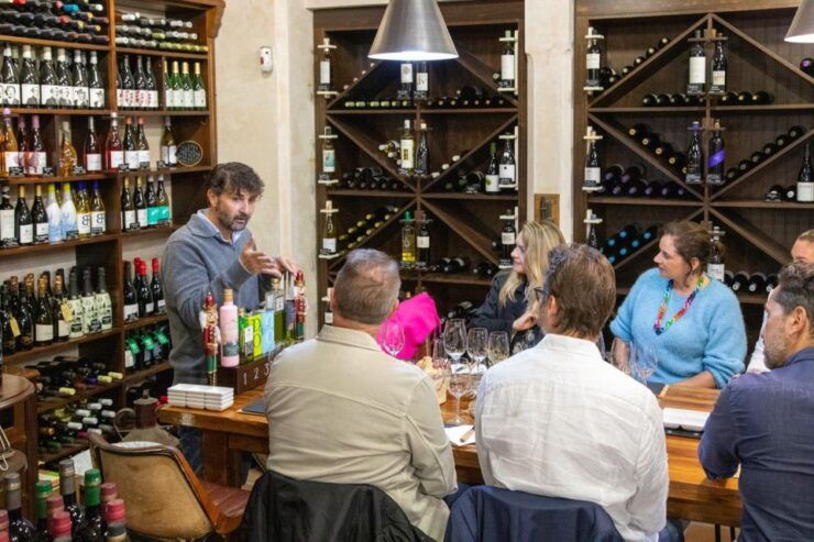 Marbella - Wine, Olive Oil & Tapas Tasting - Experience the Charm of Old Marbella
