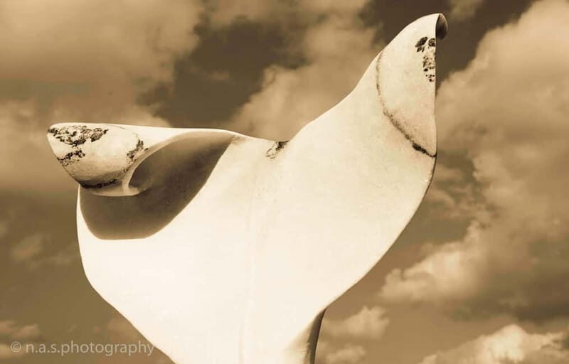 Marble Carving or Mosaic Basic Techniques -3 hour lesson - - What Guests Say: A Recap of Honest Feedback