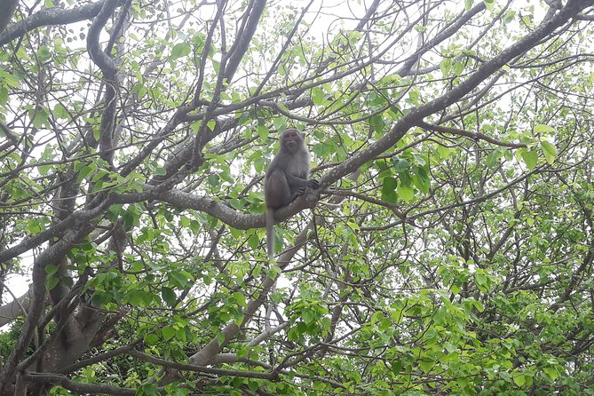 Marble Mountain and Lady Buddha From Hoi an or Da Nang - The Sum Up