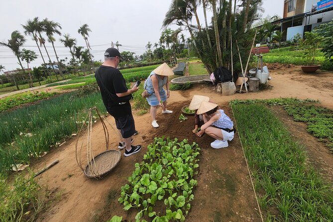 Marble Mountain-Hoi An Countryside Tour &Hoi An City Private Tour - Scenic Beauty of the Hoi An Countryside