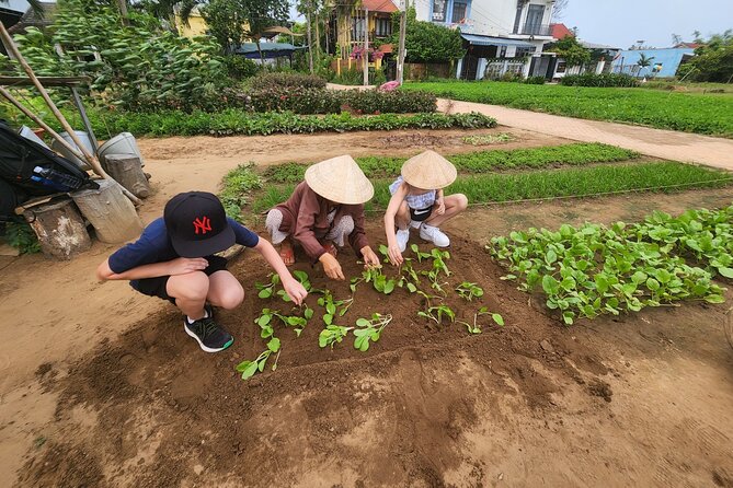Marble Mountain-Hoi An Countryside Tour &Hoi An City Private Tour - Insider Tips for the Marble Mountain-Hoi An Tour