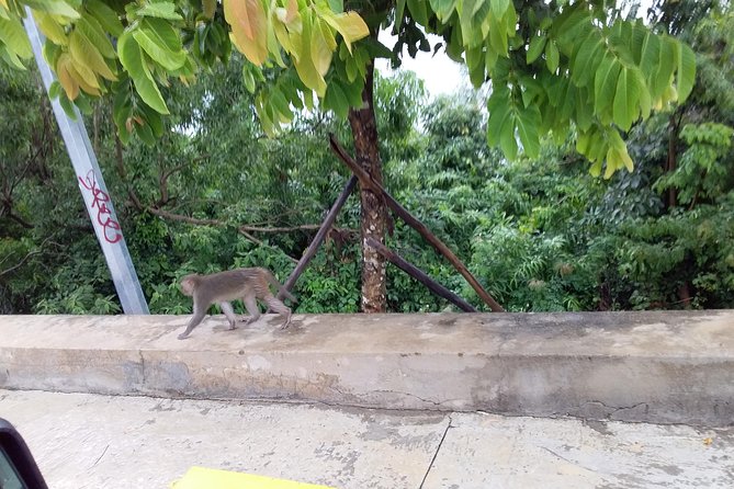 Marble Mountains &Linh Ung Pagoda With Lunch or Dinner - Highlights of the Tour