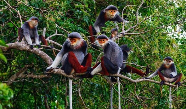 MARBLE MOUNTAINS–MONKEY MOUNTAIN–AM PHU CAVE–DANANG BY NIGHT - Nightlife in Da Nang