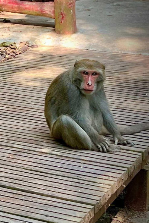 Marble Mountains - Monkey Mountain - Am Phu Cave Sunset Tour - Good To Know