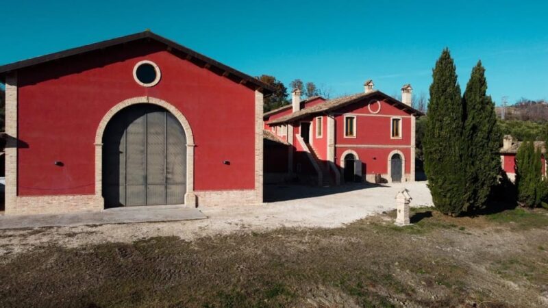 Marche: Tasting and Tour of Local Wines and Tastes at D'Erasmo Winery - Final Thoughts