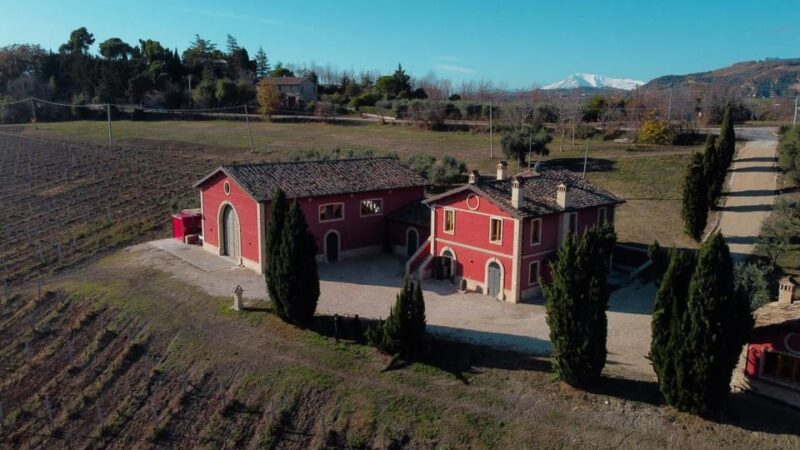 Marche: unique visit and tasting at D'Erasmo Winery among signature wines - Who Should Consider This Experience?