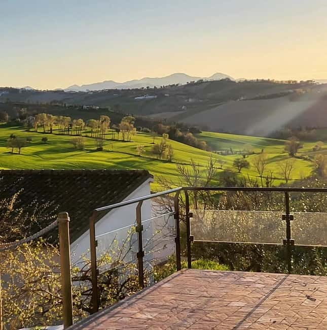 Marche Wines: Explore the Richness of Local Flavors - Final Thoughts