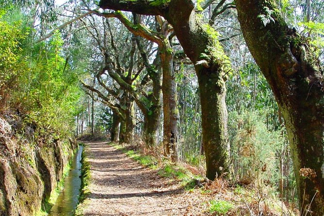Marches To Vale Das Mimosas - Summary and Booking Information