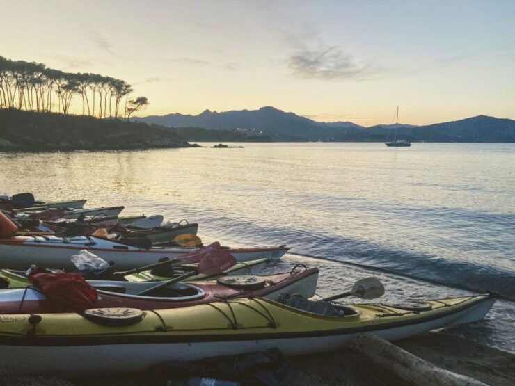 Marciana Marina: Evening Sea Kayaking Tour With Swim Stop - Booking Information and Policies