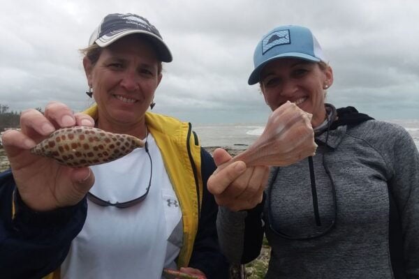 Marco Island: 10,000 Islands Shelling Tour by Boat - Common Questions