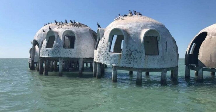 Marco Island: 1Ten Thousand Islands Dolphin & Shelling Tour - Activity Details