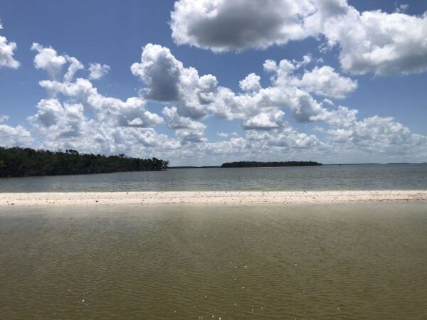 Marco Island: 1Ten Thousand Islands Dolphin & Shelling Tour - Shell Collecting on Barrier Island Beach