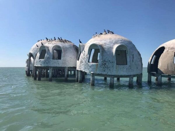 Marco Island: 1Ten Thousand Islands Dolphin & Shelling Tour - Common Questions